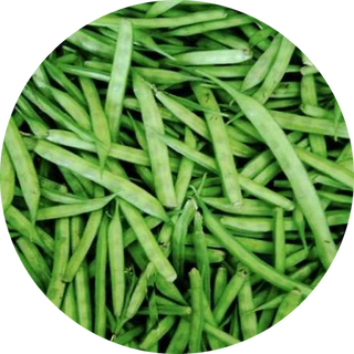 Prebiotics