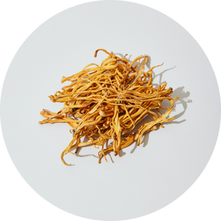 Adaptogens
